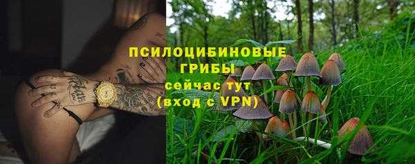 гидропоника Арсеньев